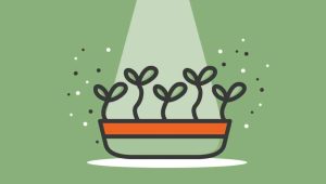 Agriculture Startups